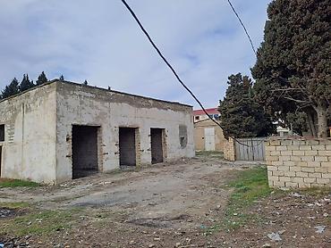 Torpaq sahələrinin satışı: 25 sot, Kupça (Çıxarış) — 4