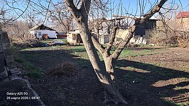 Продажа коттеджей и домов: Карабалта пад бизнес ул
фрунзенская дом 38 — 14