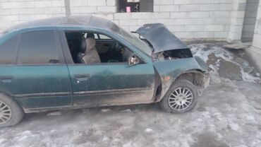 Nissan: Nissan Primera: 1.6 л, Бензин