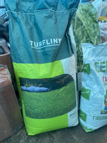 Зерновые культуры: Предлагаются семена газонной травы различных сортов, включая — 2