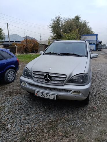 Mercedes-Benz: Mercedes-Benz ML 270: 2002 г., 2.7 л, Автомат, Дизель, Внедорожник