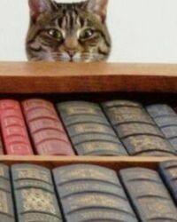 оборудование для ремонта телефона: Куплю макулатуру дорого самовывоз