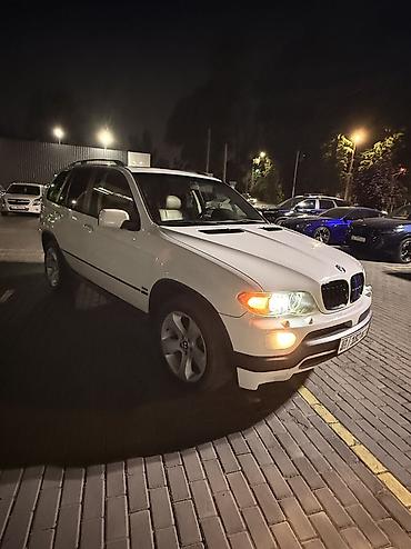 BMW: BMW X5: 2004 г., 3 л, Автомат, Бензин, Кроссовер — 8