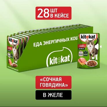 корм для форели в кыргызстане: Жидкий корм"Китикет " 28шт в упаковке,цена за упаковку 800с.Вискас