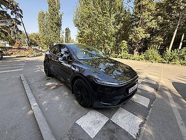 crown 2020: Tesla Model Y: 2025 г., Автомат, Электромобиль, Кроссовер — 5