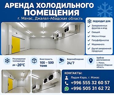 помешения под детейлинг: 800 м², Холодильный, морозильный — 1