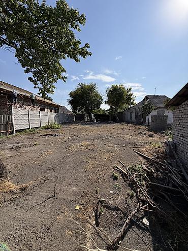 Жер тилкелери: 4 соток, Курулуш, Кызыл китеп, Техпаспорт, Сатып алуу-сатуу келишими — 1