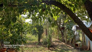 Həyət evləri və villaların satışı: 6 otaqlı, 150 kv. m, Orta təmir — 28