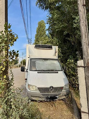 аренда холодильных камер: Рефрижераторный фургон на базе Mercedes-Benz Sprinter - — 3