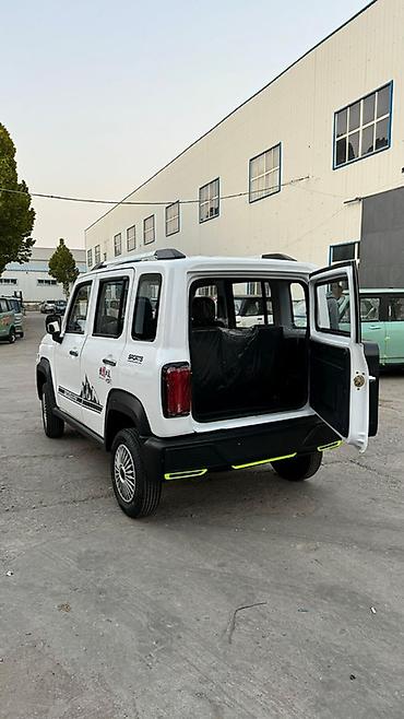 Microcar: Microcar : 2026 г., Электромобиль, Внедорожник — 5