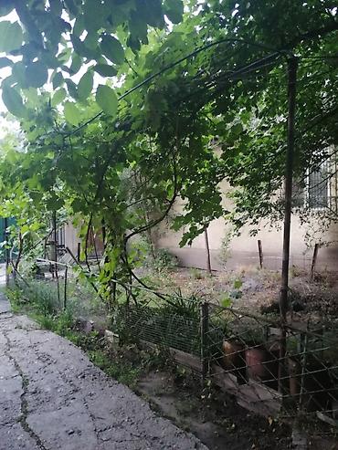 Продажа участков: 3 соток at lalafo.kg — 1 Продажа участков: 3 соток — 1