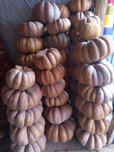 дом для кур: Тыква рамашка сатылат