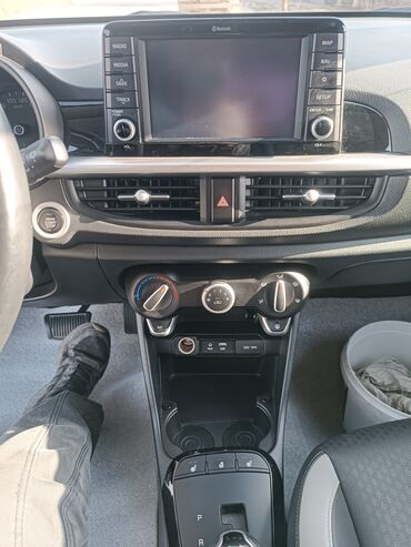 Kia: Kia Picanto: 2019 г., 1 л, Автомат, Бензин, Хэтчбэк — 14