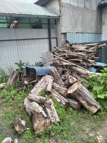Отдам даром: Отдам дрова.доски, орех. самовывоз. г. Бишкек, ул. Юдахина 30