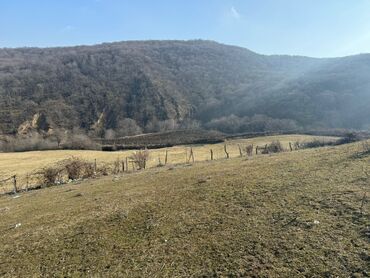 xacmaz torpaq sahesi satilir: 32 sot, Tikinti, Mülkiyyətçi