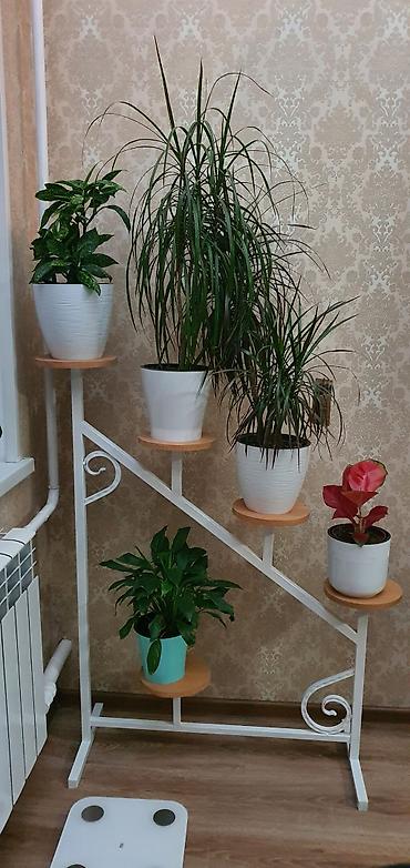 Подставка для цветов.Новый
