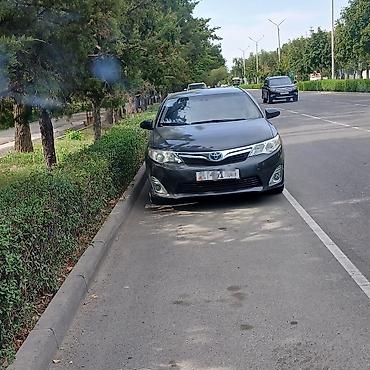 на камри 20: Toyota Camry: 2012 г., 2.5 л, Автомат, Гибрид, Седан — 1