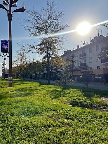 подслением квартира: 1 комната, 37 м², 104 серия, 1 этаж, Свежий ремонт — 6