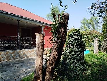 bayılda ucuz evlər: 120 kv. m, 3 otaqlı, Hovuzsuz, Artezian quyusu, İnternet, Su — 3