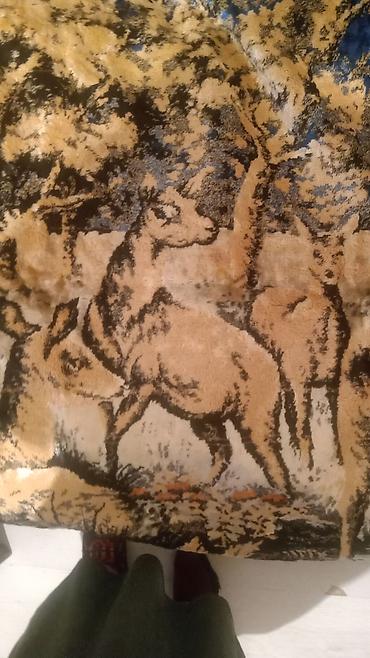 Süfrələr: İşlənmiş rəng - Mavi Vilyur Süfrə, Pulsuz çatdırılma — 5