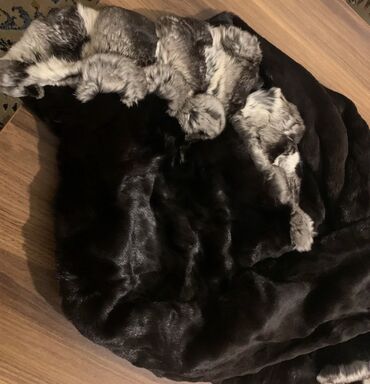 Kürklər: Kürk, Milano, S, rəng - Qara — 13