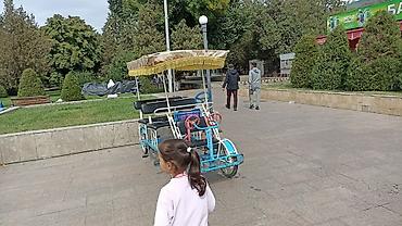 Детские аттракционы: Аттракционы для парка/набережной/сквера - Семейный веломобиль с — 10