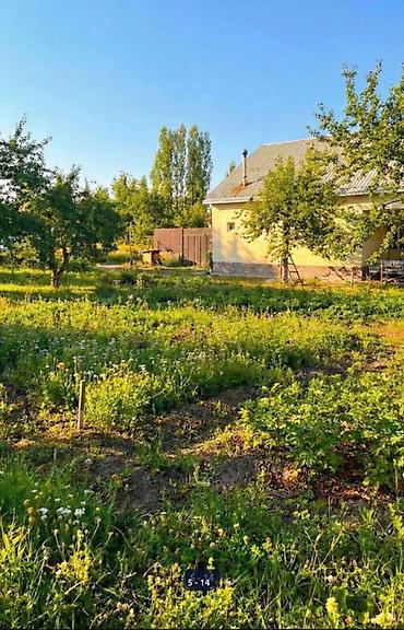 Продажа дач: 🏡🔥 ДАЧА У РЕКИ | АРАШАН 🌊⛰️ 📍 Закрытый кооператив “Предгорный” ✅ — 7