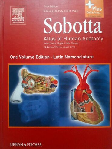 english grammar in use купить бишкек: Sobotta: Атлас анатомии человека. Atlas of Human Anatomy Vol. I (14th
