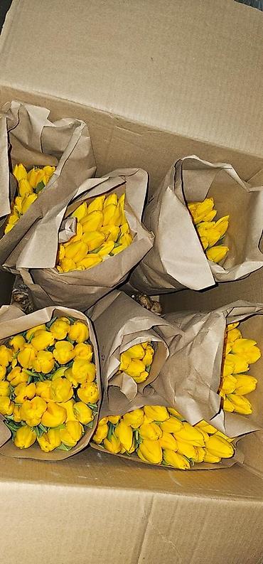 Букеты из живых цветов: Тюльпаны голландские ОПТОМ с луковицей и в розницу с оформлением (не — 11