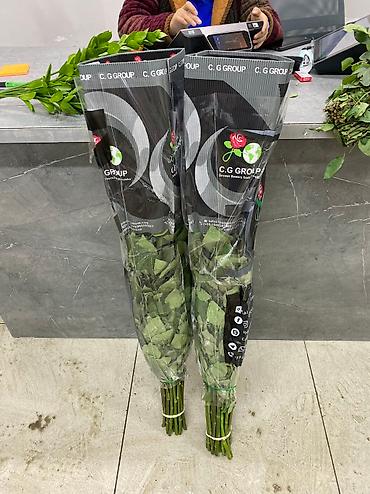 дешевые букеты: 🌹 У нас акция! 🥳 Метровые Голландские розы по оптовым ценам 🫨🤑 Шок 😱 — 3