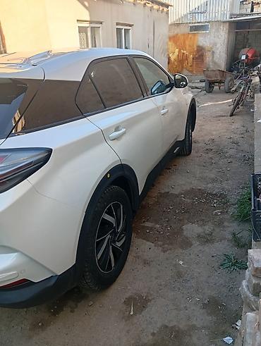 BYD: BYD : 2022 г., Электромобиль, Кроссовер — 4