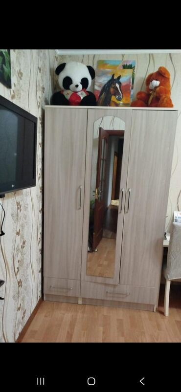 şkaf soyuducular: Qarderob, paltar dolabı