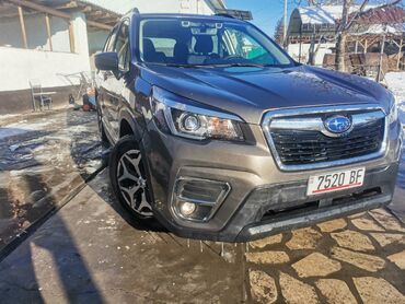 лабо машина: Subaru Forester: 2019 г., 2.5 л, Вариатор, Бензин, Кроссовер