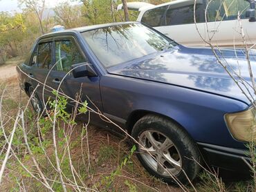 опель зафира а: Mercedes-Benz W124: 1989 г., 2.6 л, Механика, Бензин, Седан