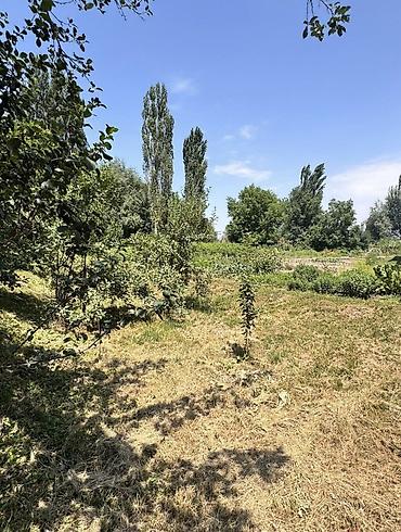 мини вагон: 15 соток, Для строительства — 4