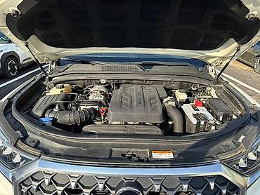 Ssangyong: Ssangyong Rexton: 2020 г., Внедорожник — 28