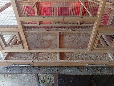 qus xana: Taxta quş qəfəsi/volyer - Material: möhkəm taxta karkas, xırda gözlü — 2