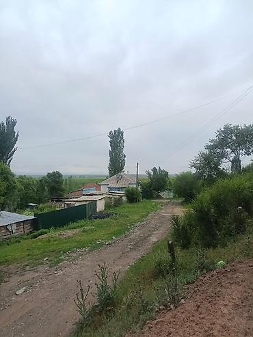 дом кут: Жилой дом с придомовым участком и хозяйственными постройками. Иссык — 9