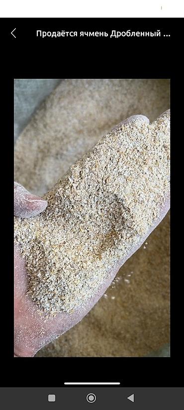 Корма для с/х животных: Улпак отруби кебек оптом - Натуральные отруби крупного и среднего — 20