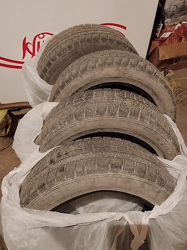 e klass: Комплект зимних шин Dunlop — 4 штуки. На фото видны нешипованные — 1