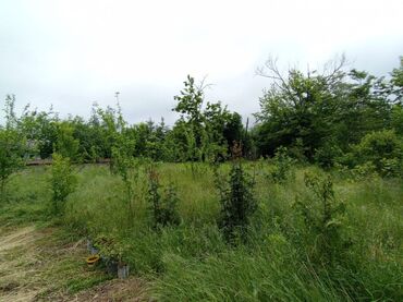 Torpaq sahələrinin satışı: 6 sot, Tikinti, Barter mümkündür, Kupça (Çıxarış) -da lalafo.az — 1 Torpaq sahələrinin satışı: 6 sot, Tikinti, Barter mümkündür, Kupça (Çıxarış) — 1