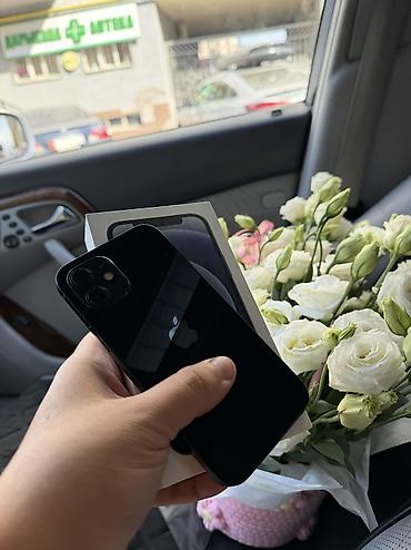 iphone 12 цена ош: IPhone 12, Б/у, 256 ГБ, Синий, Зарядное устройство, Чехол, Кабель, 80 % — 5