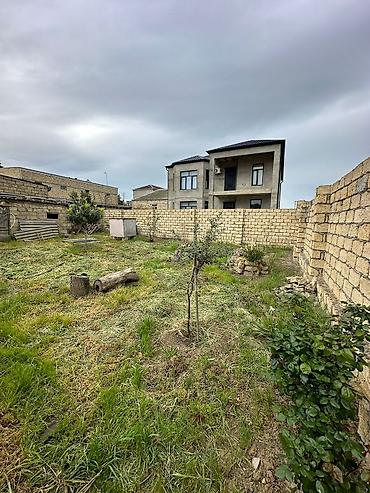 mehdabat: 2 sot, Tikinti — 3