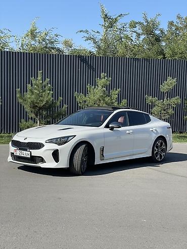 k7 2017: Kia Stinger: 2019 г., 2 л, Автомат, Бензин, Лифтбек — 2