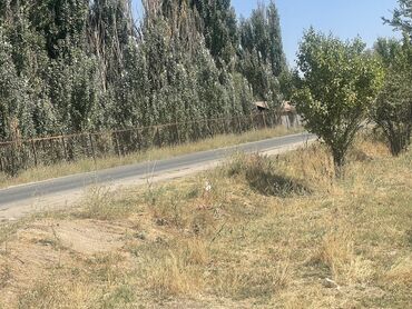 Продажа участков: 27000 соток, Для строительства, Договор купли-продажи — 14