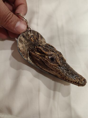 все для животных: Продаю головы крокодилов настоящие, сувенир или подарок цена 3000