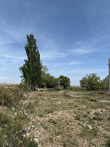 Продажа участков: 200 соток — 8