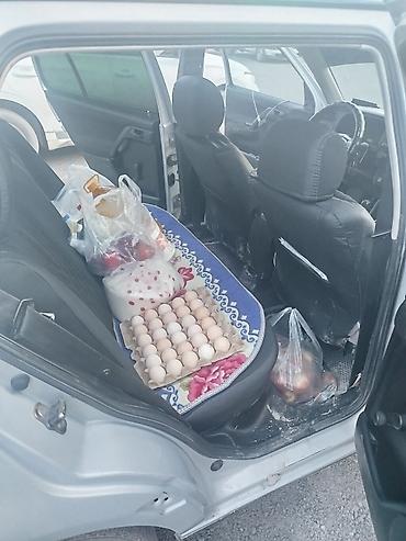 Volkswagen: Volkswagen Golf: 1995 г., Хэтчбэк — 9