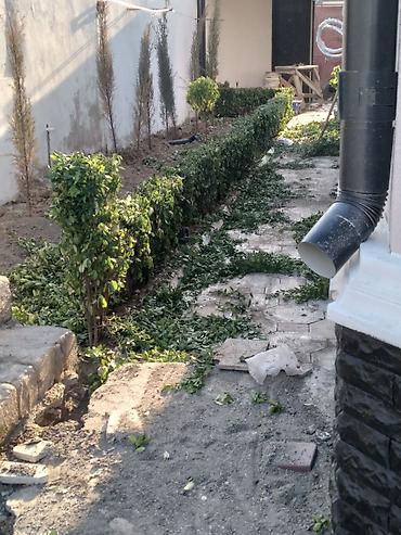 heyet qapilari: Pejaj və landşaft xidmətləri - Həyətyanı sahələrin tam — 4