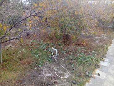 Bağ evlərinin satışı: Bakı, Suraxanı, 100 kv. m, 3 otaqlı, Hovuzsuz -da lalafo.az — 1 Bağ evlərinin satışı: Bakı, Suraxanı, 100 kv. m, 3 otaqlı, Hovuzsuz — 1